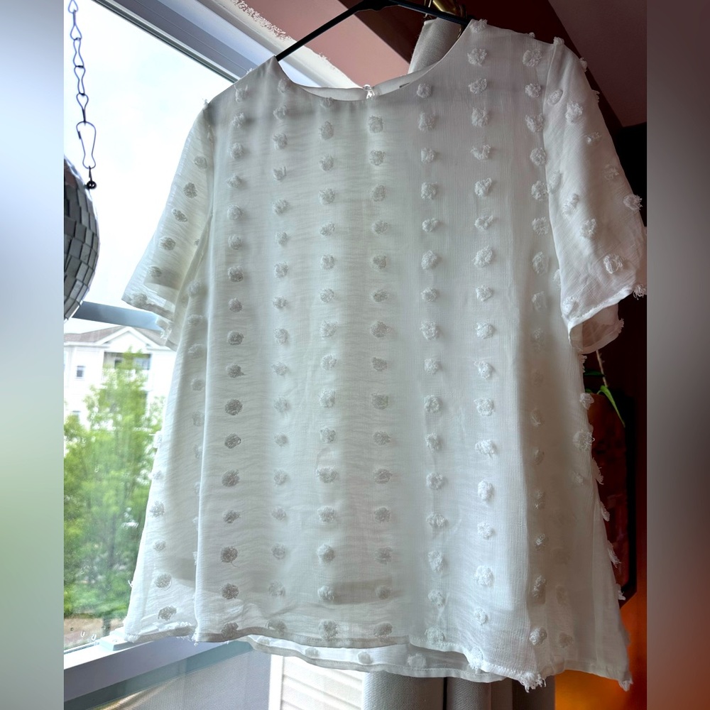 Like New Swiss Dot Blouse
